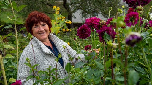 Bunte Gartenheimat Freiburg