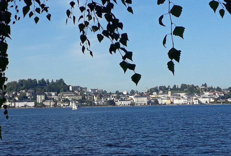 Pernkopf 10.20 Blick über den See